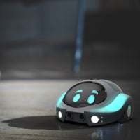 Loti-Bot — Programmable Floor Robot