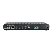 Lightspeed T25 amplifier rear panel with audio and control inputs