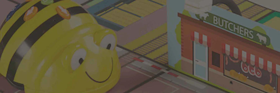 Sammat Education Bee-Bot Workshop