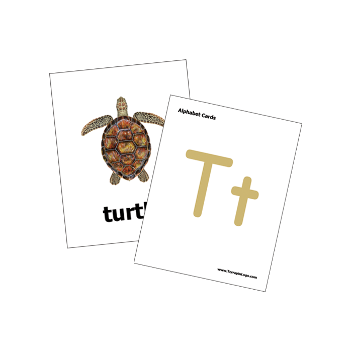 Literacy and Numeracy Kit for Bee-Bot and Blue-Bot